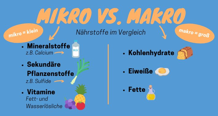 Informationsangebot mikroco-wissen.de des BfR bietet Orientierung über  Vitamine, Mineralstoffe und Co.: IN FORM