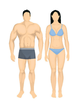 Endomorph