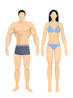 Mesomorph